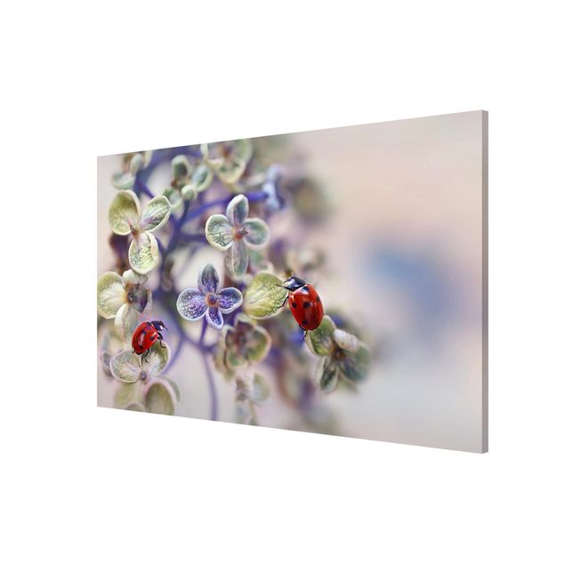 Lavagna magnetica - Ladybug In The Garden - Formato orizzontale 3:2