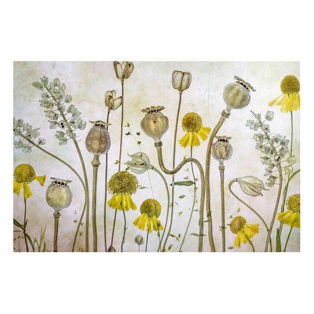 Lavagna magnetica - Mohn And Helenium - Formato orizzontale 3:2