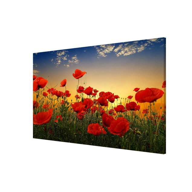 Lavagna magnetica - Poppy Field in Sunset - Formato orizzontale 3:2