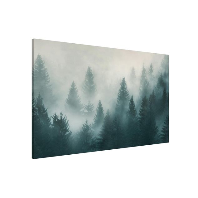 Lavagna magnetica per ufficio Foresta di conifere nella nebbia