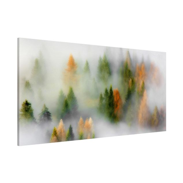 Lavagna magnetica per ufficio Foresta di nuvole in autunno