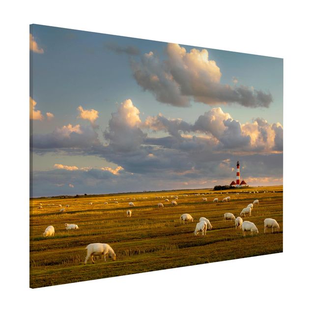stampe animali Faro sul Mare del Nord con gregge di pecore