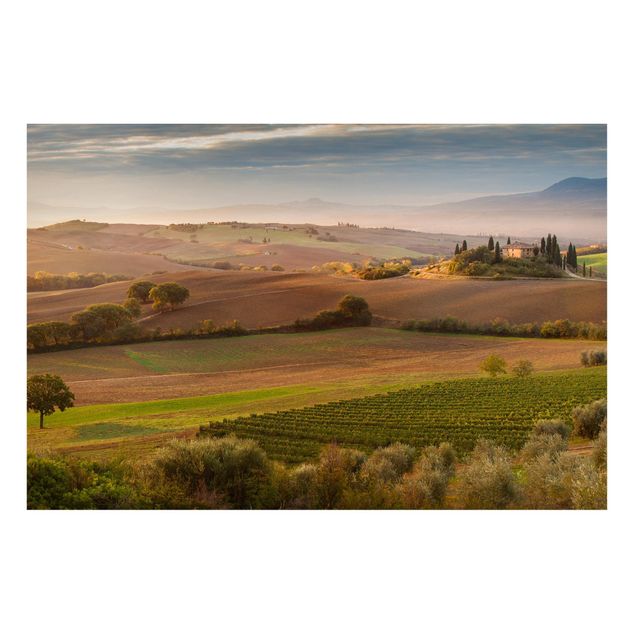 Lavagna magnetica - Olive Grove in Tuscany - Formato orizzontale 3:2