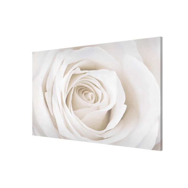 Lavagna magnetica - Pretty White Rose - Formato orizzontale