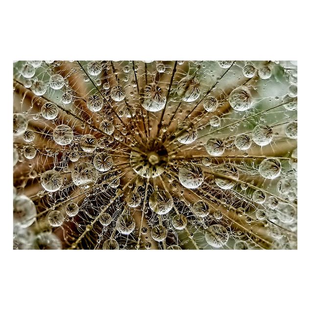 Lavagna magnetica - Dandelion in Autumn - Formato orizzontale 3:2