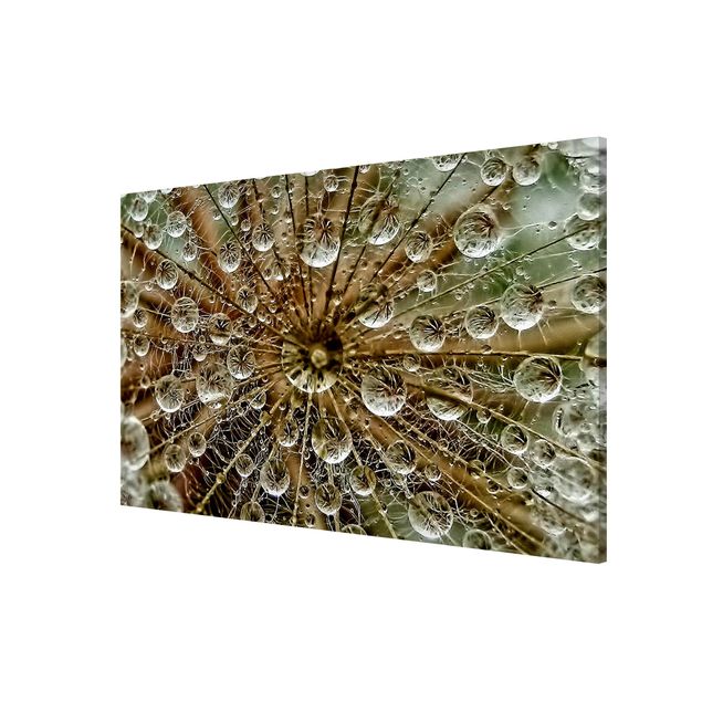 Lavagna magnetica - Dandelion in Autumn - Formato orizzontale 3:2