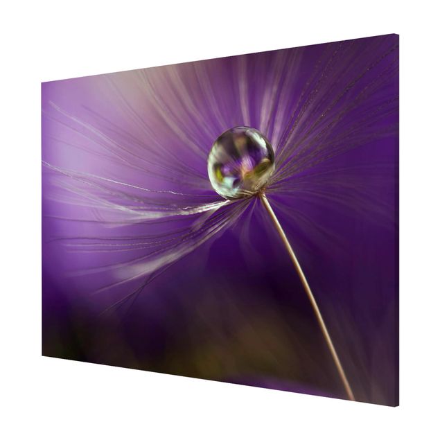 Lavagna magnetica - Dandelion in Violet - Formato orizzontale 3:4