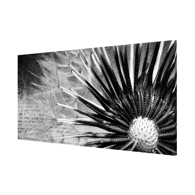 Lavagna magnetica - Dandelion Black & White - Panorama formato orizzontale