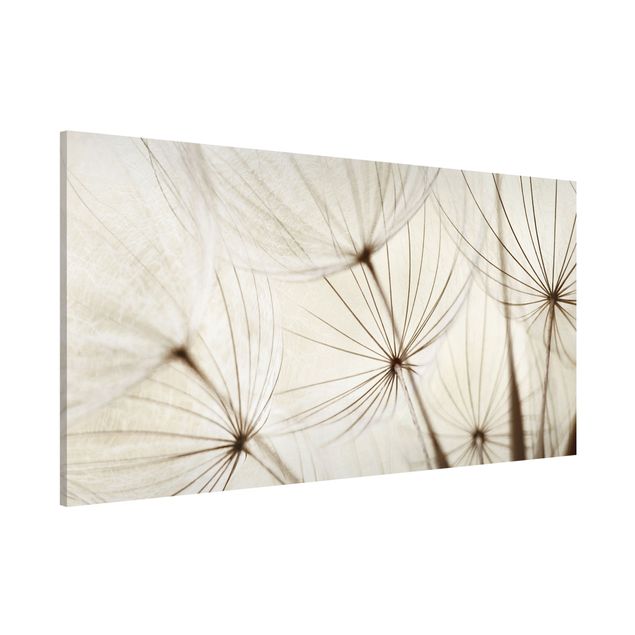 Lavagna magnetica - Gentle Grasses - Panorama formato orizzontale