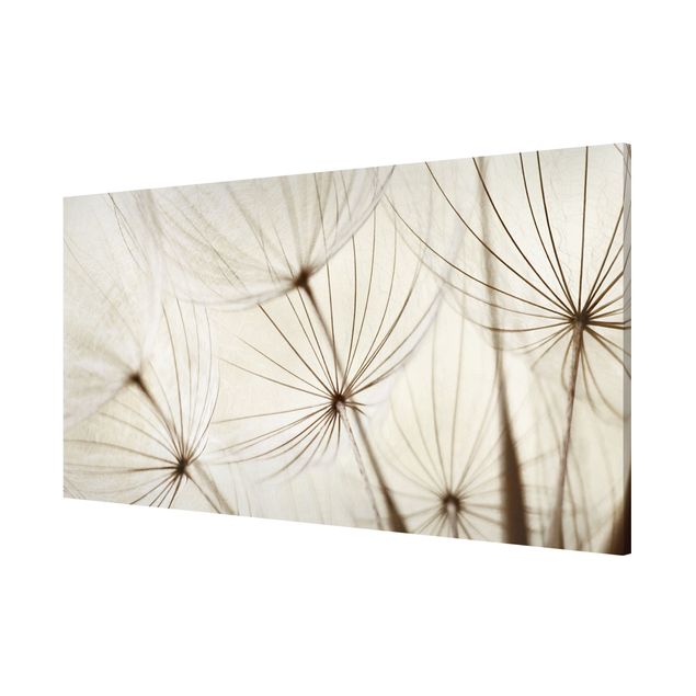 Lavagna magnetica - Gentle Grasses - Panorama formato orizzontale