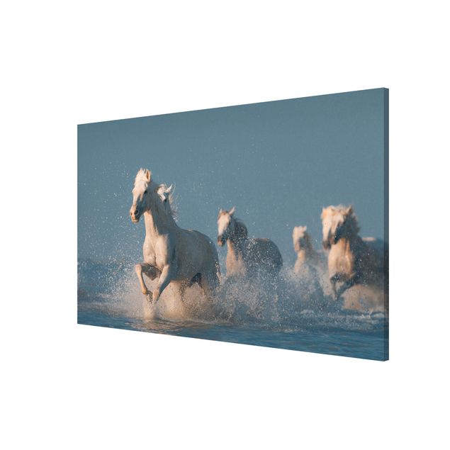 Lavagna magnetica bianco Mandria di cavalli bianchi