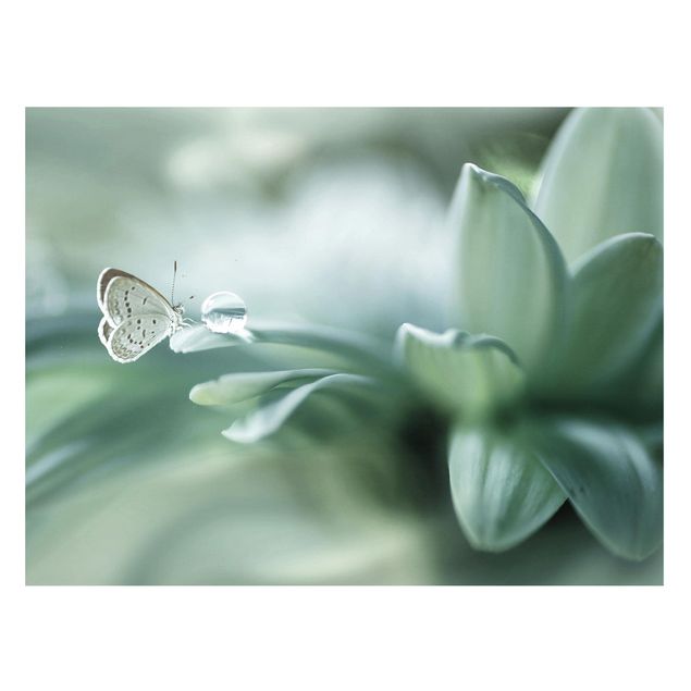 Lavagna magnetica per ufficio Farfalla e gocce di rugiada in verde pastello
