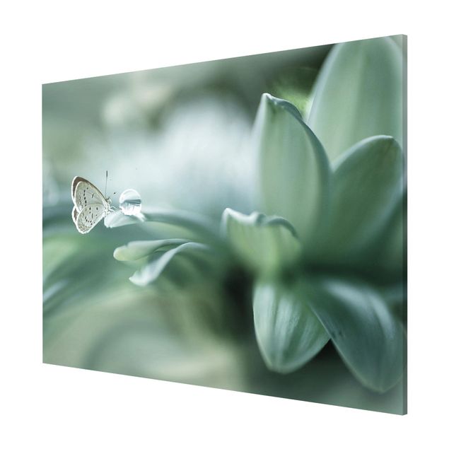 Lavagna magnetica - Farfalla E Gocce di rugiada In Pastel Verde - Formato orizzontale 3:4