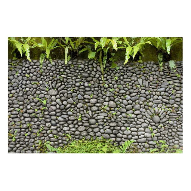 Lavagna magnetica - Stone Wall With Plants - Formato orizzontale 2:3