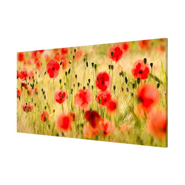 Lavagna magnetica - Summer Poppies - Panorama formato orizzontale
