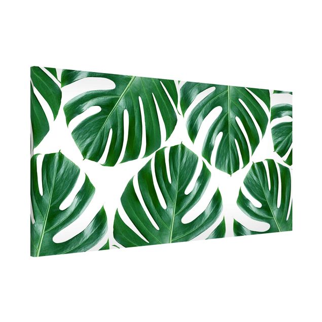 Lavagna magnetica per ufficio Monstera a foglie verdi tropicali