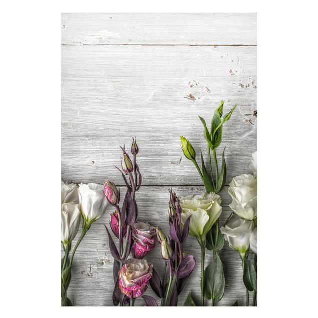 Lavagna magnetica - Tulip Rose Shabby Wood Look - Formato orizzontale 2:3