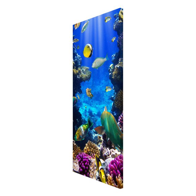 Lavagna magnetica - Underwater Dreams - Panorama formato verticale