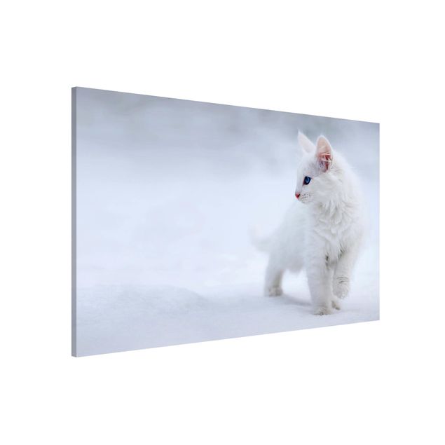 stampe animali Bianco come la neve