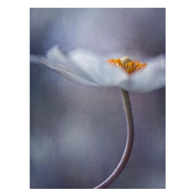Lavagna magnetica - White Anemones Bloom - Formato verticale 4:3
