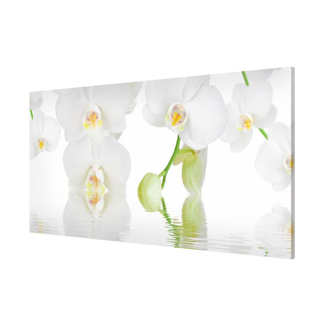 Lavagna magnetica - Orchid Wellness Orchid - Panorama formato orizzontale