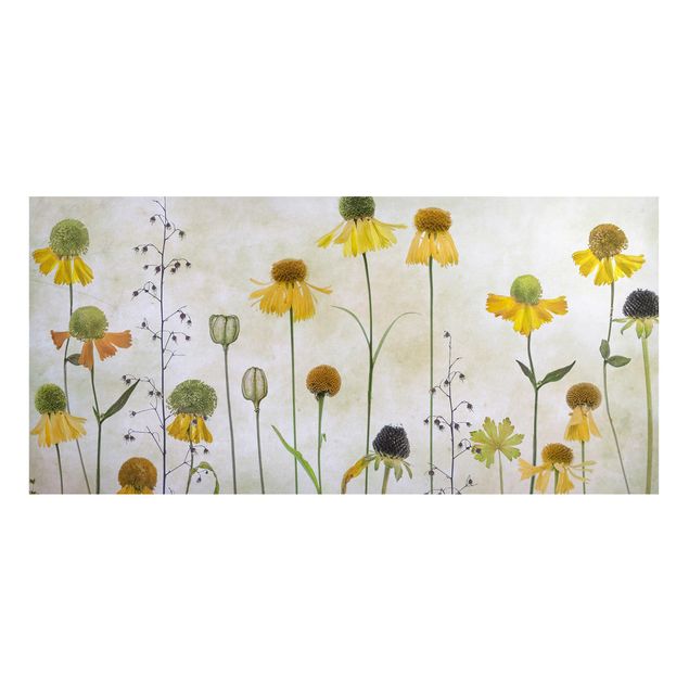 Lavagna magnetica - Delicate Helenium Flowers - Panorama formato orizzontale