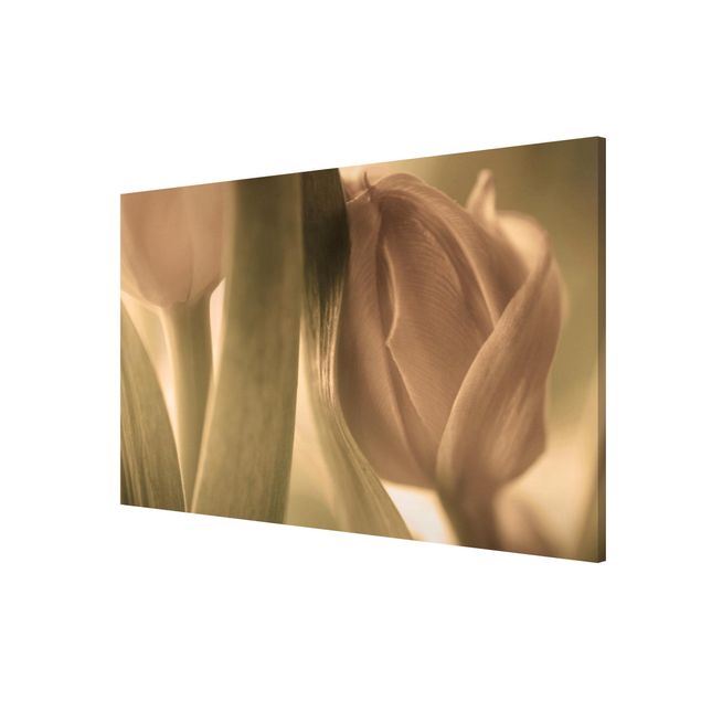 Lavagna magnetica - Delicate Tulips - Formato orizzontale 3:2
