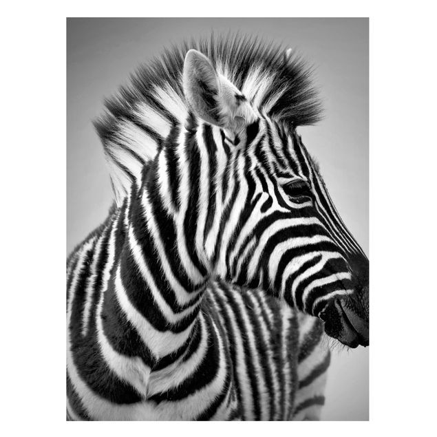 Lavagna magnetica per ufficio Ritratto di piccola zebra II
