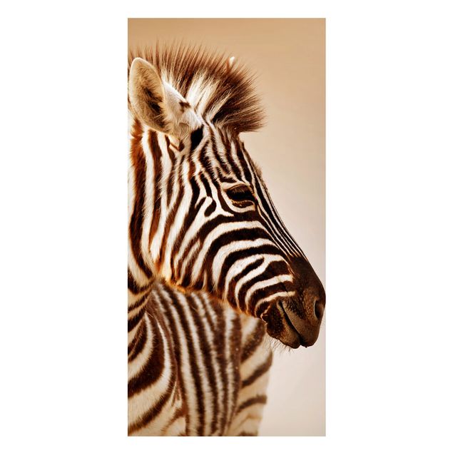 Lavagna magnetica per ufficio Ritratto di piccola zebra