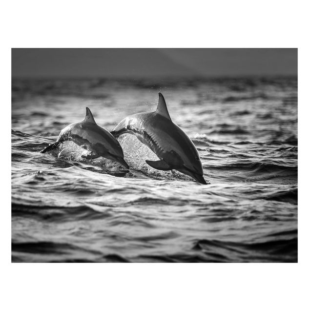 Lavagna magnetica per ufficio Due delfini che saltano