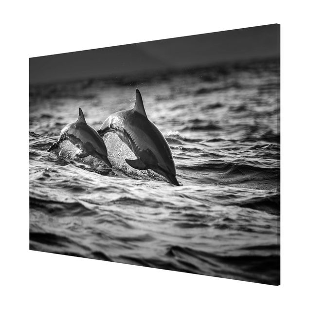 Lavagna magnetica nero Due delfini che saltano