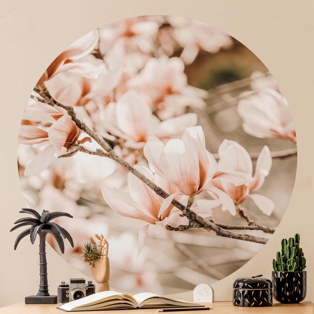 carta da parati per centri estetici Ramoscello di magnolia in stile vintage