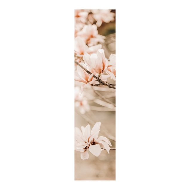 set tende a pannello Ramoscello di magnolia in stile vintage