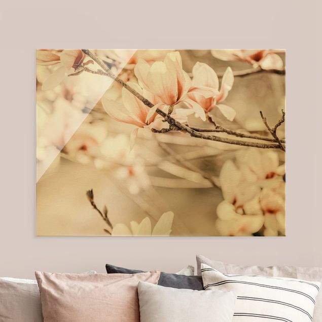Quadro in vetro - Ramo di magnolia in stile vintage - Formato orizzontale