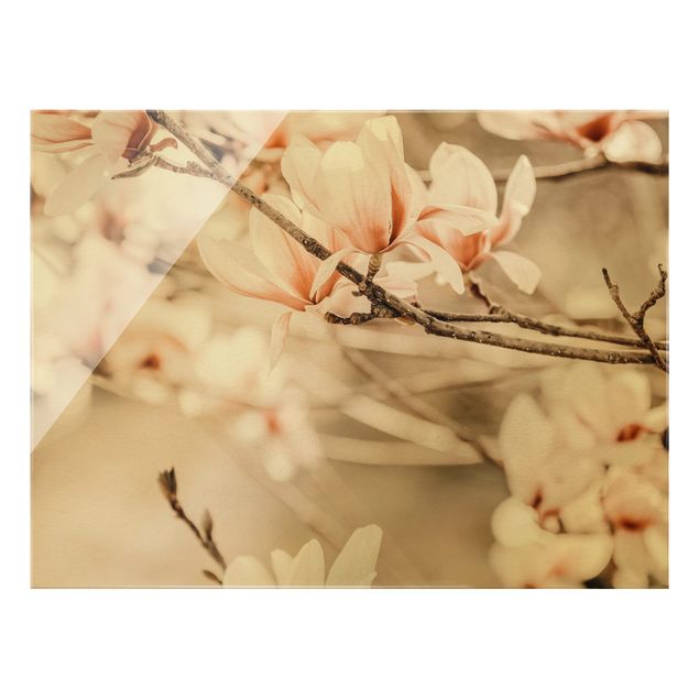 Quadro in vetro - Ramo di magnolia in stile vintage - Formato orizzontale
