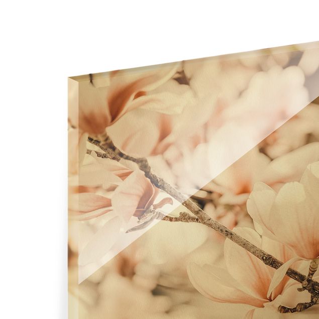 Quadro in vetro - Ramo di magnolia in stile vintage - Formato verticale