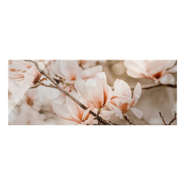 Quadro in vetro - Ramo di magnolia in stile vintage