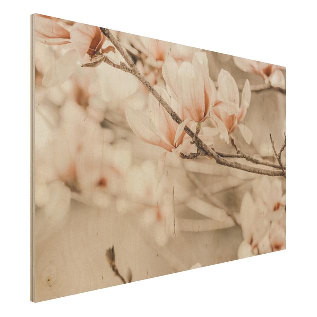 Stampa su legno - Ramo di magnolia in stile vintage