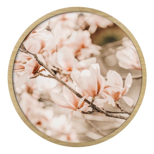Quadro rotondo incorniciato - Ramo di magnolia in stile vintage