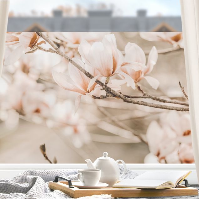 Pellicola per vetri per salone Ramo di magnolia in stile vintage