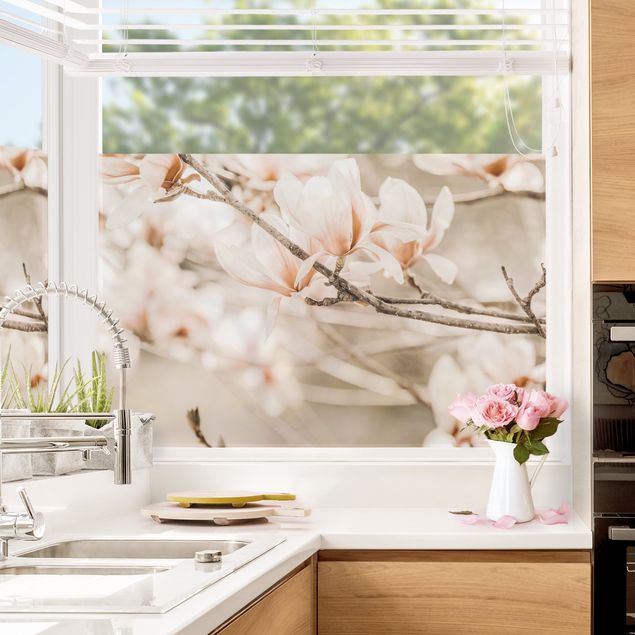 Pellicola vetro Ramo di magnolia in stile vintage