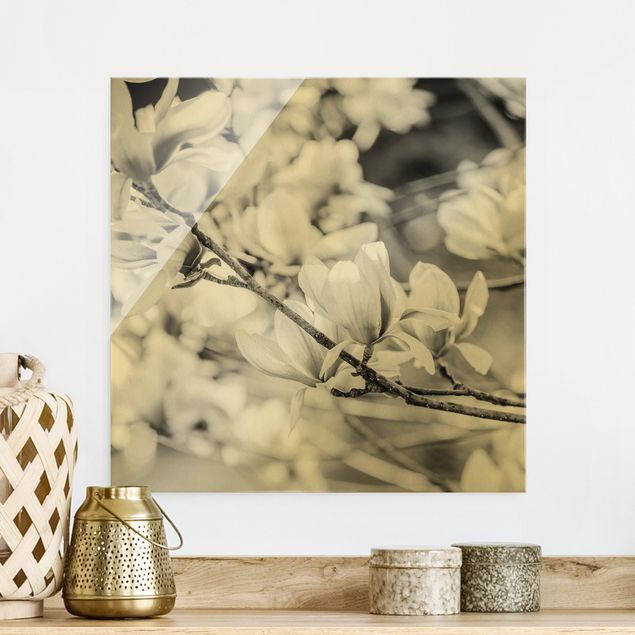 Lavagna magnetica in vetro Ramoscello di magnolia in stile vintage II