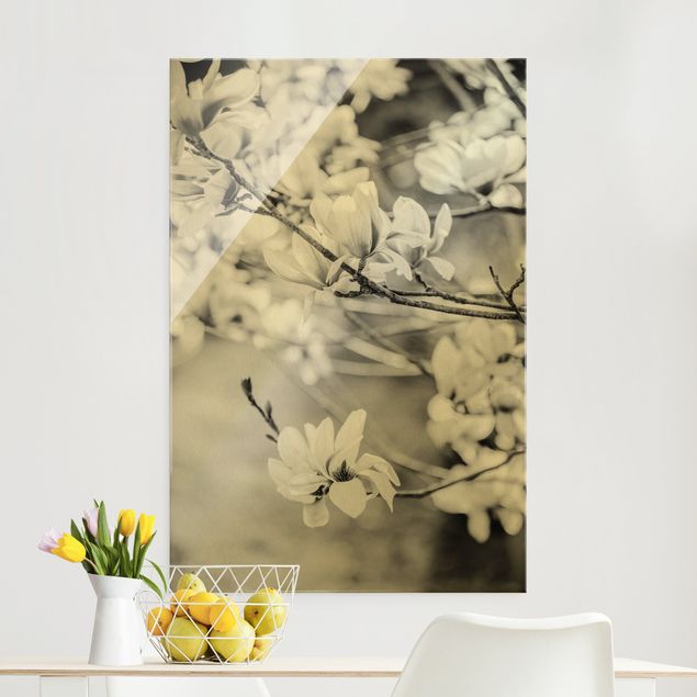 Lavagna magnetica vetro Ramoscello di magnolia in stile vintage II