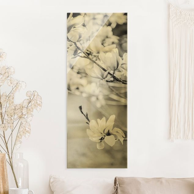 Lavagna magnetica vetro Ramoscello di magnolia in stile vintage II