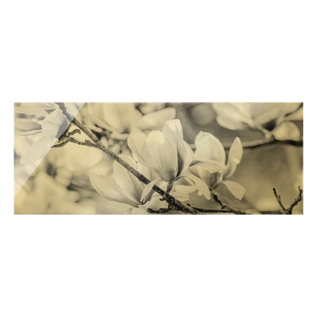 Quadro in vetro - Rami di magnolia in stile vintage II - Panorama