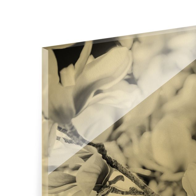 Quadro in vetro - Rami di magnolia in stile vintage II - Quadrato