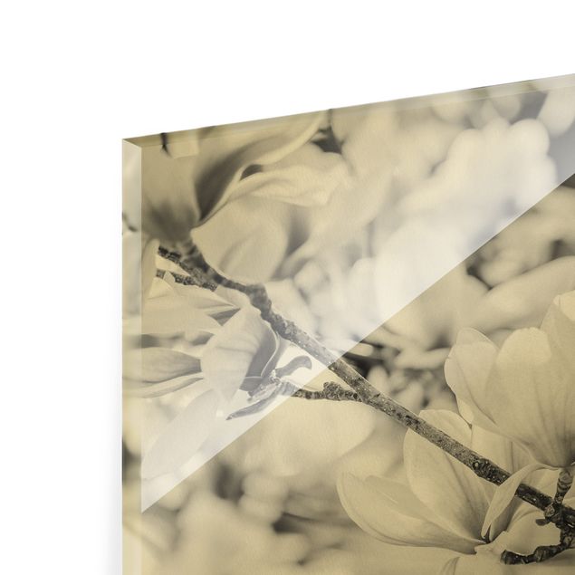 Quadro in vetro - Rami di magnolia in stile vintage II - Formato verticale