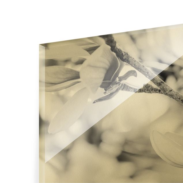 Quadro in vetro - Rami di magnolia in stile vintage II - Panorama