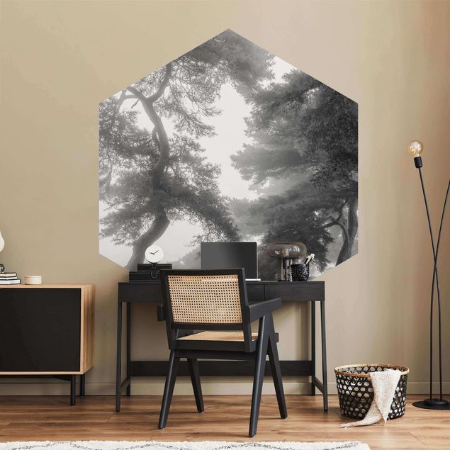 Fotomurale esagonale autoadesivo - Foresta maestosa in bianco e nero