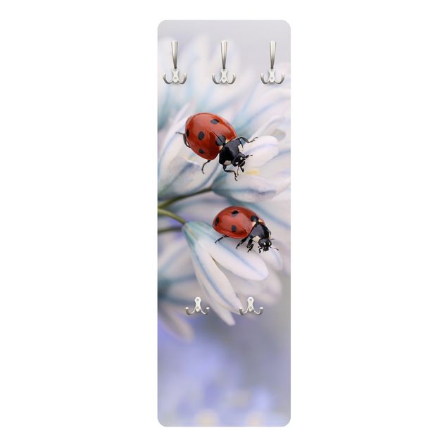Appendiabiti - Ladybird Couple